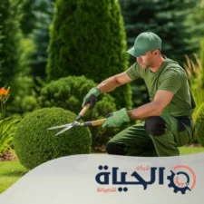 شركة تنسيق حدائق بالخليج
